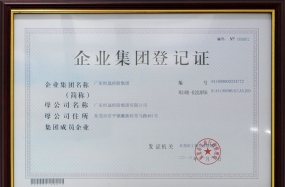 企业集团登记证