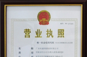 恒晟控股集团营业执照